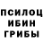 Галлюциногенные грибы прущие грибы margosha.am_