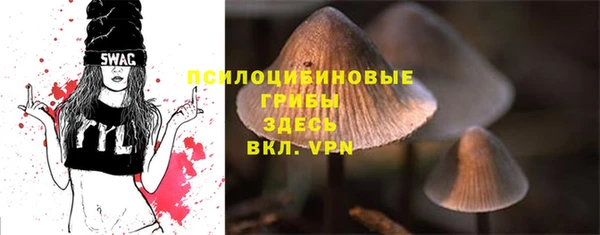 а пвп мука Липки