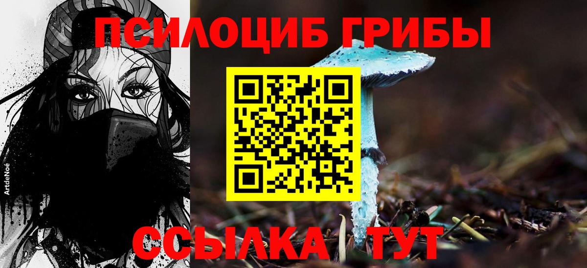 Псилоцибиновые грибы Psilocybine cubensis  Тайшет  Псилоцибиновые грибы мицелий 