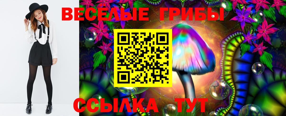 Псилоцибиновые грибы GOLDEN TEACHER Тайшет