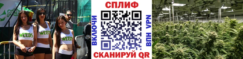 Бошки марихуана ГИДРОПОН закладки Тайшет